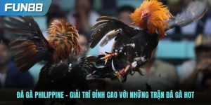 Đá gà Philippines