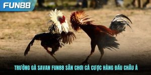 Trường gà Savan